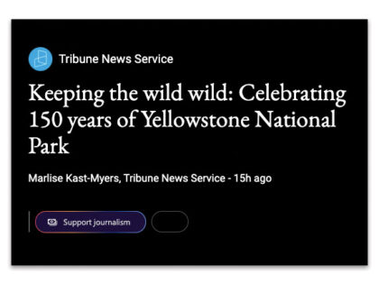 Yellowstone: MSN News + Miami Herald + Honolulu Star-Advertiser